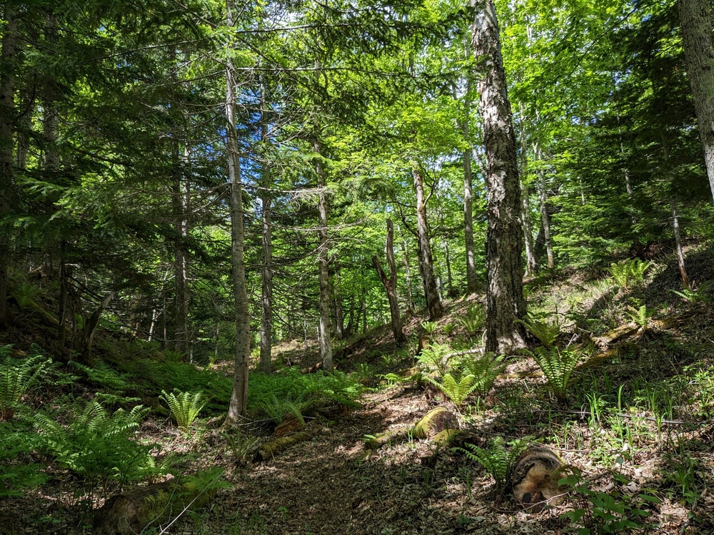 トレイルヘッド輸送宿泊プラン（往復120km以内）