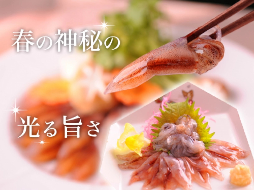【和と洋のマリアージュいけがみ流会席ー蛍ー】富山湾・春の神秘 ぷりっと弾ける生ホタルイカ三品仕立て《ベストレート》