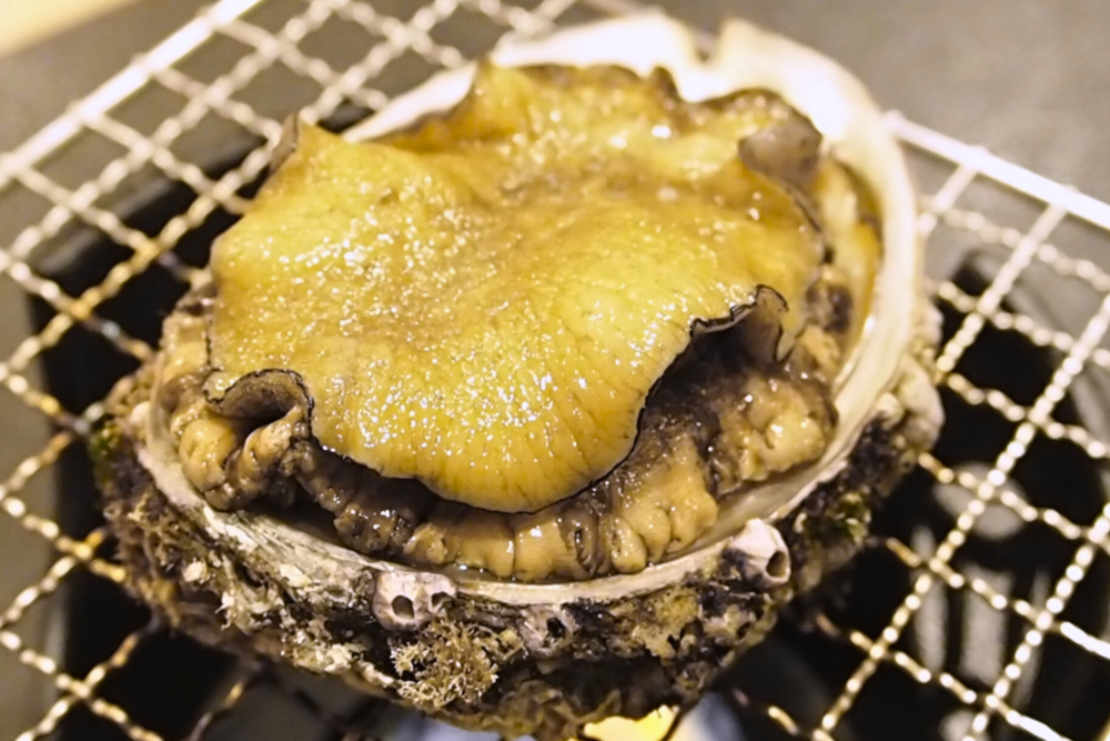 【三陸海鮮プラン】天然アワビの踊り焼き付き！気仙沼の海の幸たっぷり海鮮会席（夕食・朝食付）