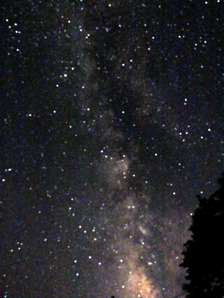 【ひとり旅応援♪／平日（月～木）&日曜限定プラン】静かなリトリートプラン