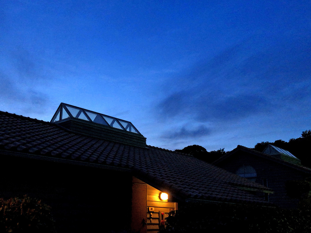 【愛犬同伴限定】ドギー・ヴィラ311＜トワイライト＞