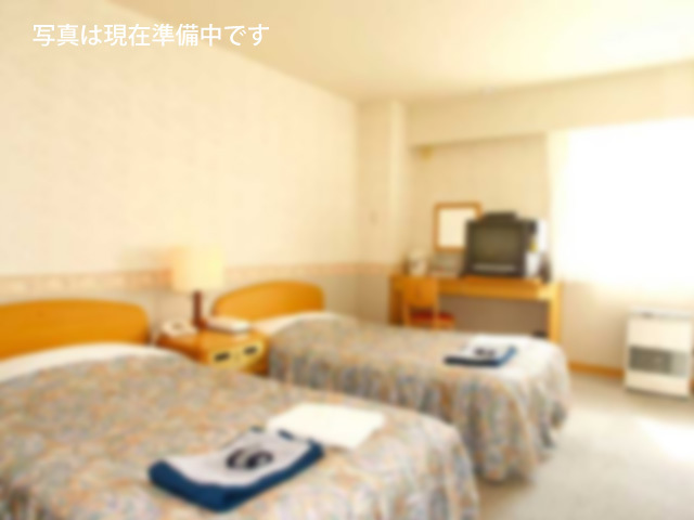 【禁煙】冷暖房完備☆特洋室デラックスツイン【約28㎡】※バス・トイレ付